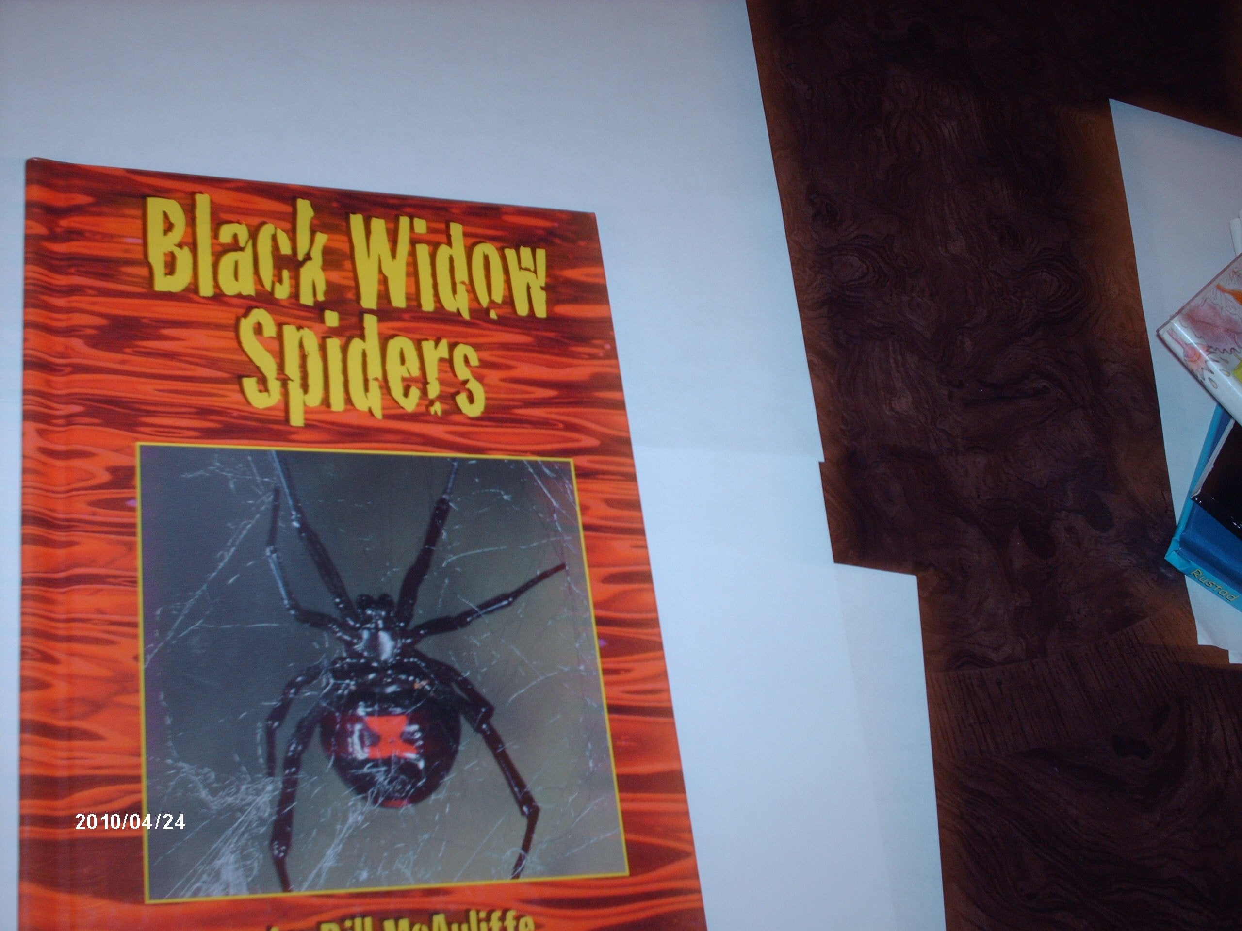 Black Widow Spiders (Dangerous Creatures),Used