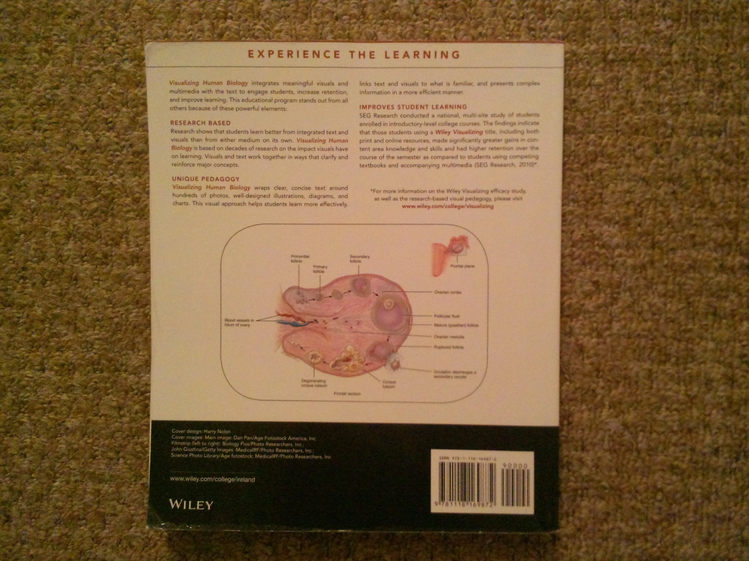 Visualizing Human Biology, 4th Edition,Used