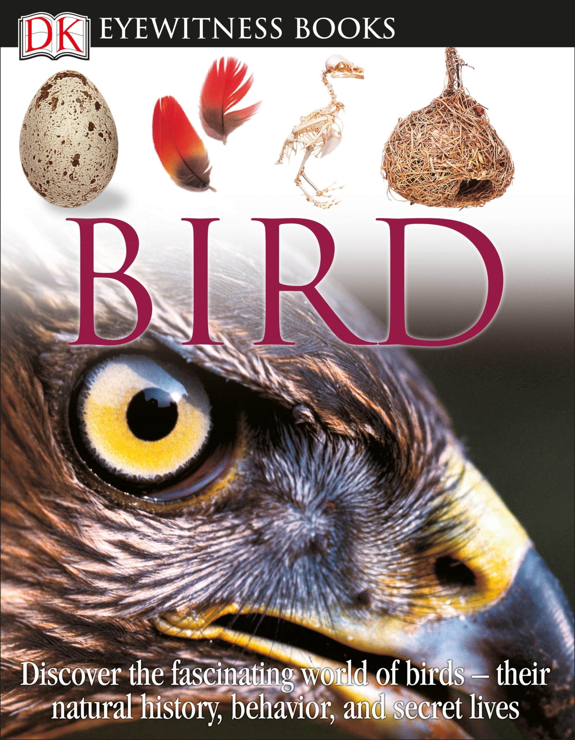 DK Eyewitness Books: Bird: Discover the Fascinating World of Birdstheir Natural History, Behavior,,Used