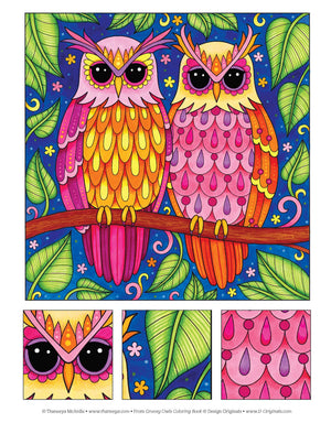 Groovy Owls Coloring Book (Coloring Is Fun) (Design Originals) 32 Adorable Art Activities With Quiet, Stoic, Wise, And Happy Owl