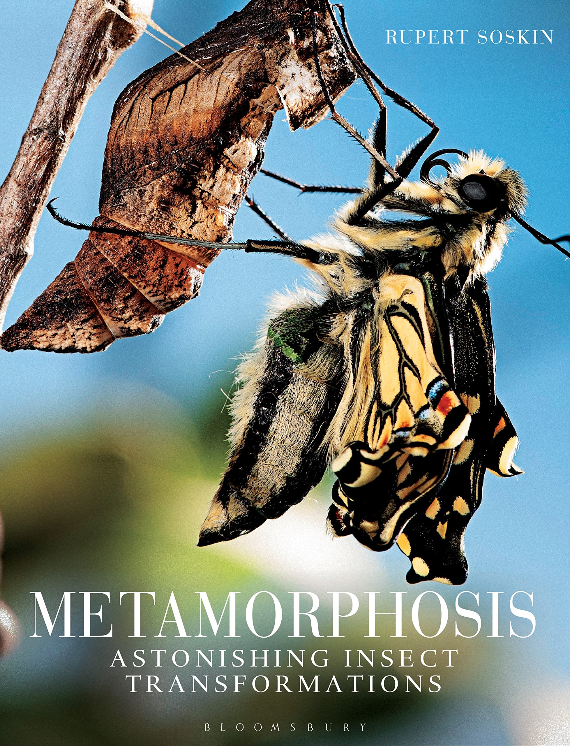 Metamorphosis: Astonishing insect transformations,Used