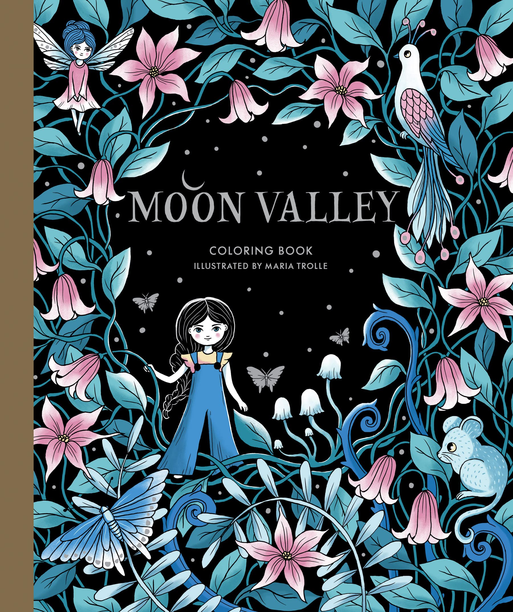 Moon Valley Coloring Book,Used