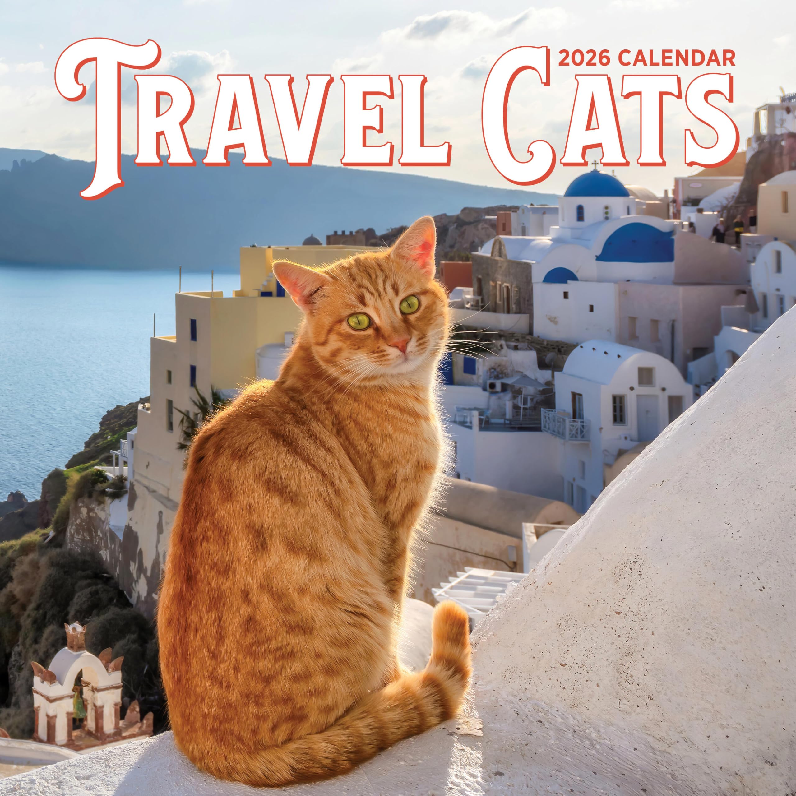 Cal 26 Travel Cats