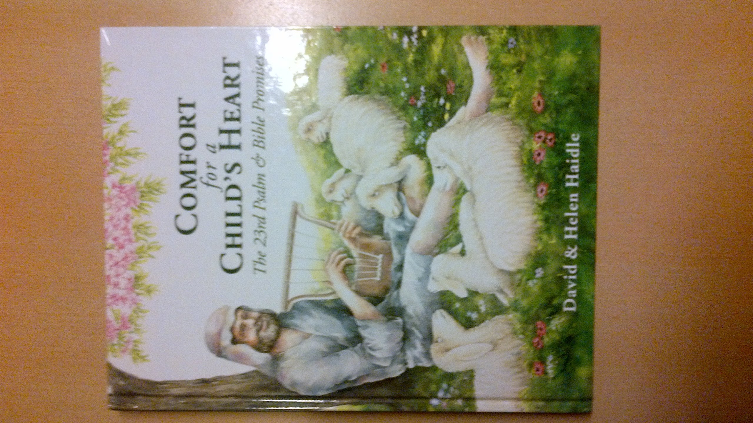 Comfort for a Child's Heart,Used