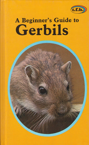 Beginners Guide to Gerbils,Used