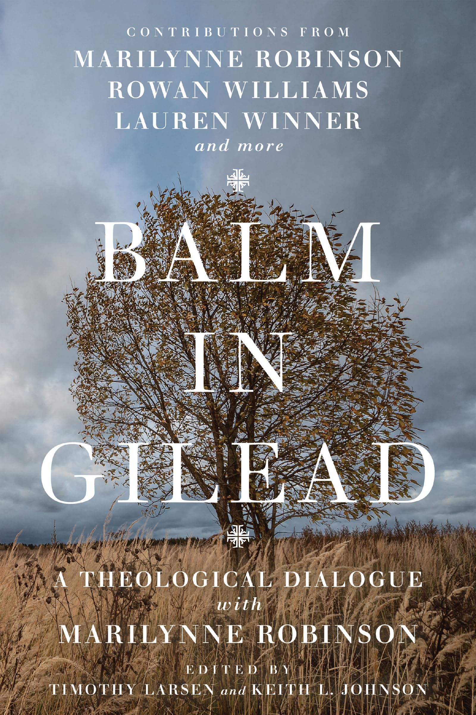 Balm in Gilead: A Theological Dialogue with Marilynne Robinson (Wheaton Theology Conference Series),Used