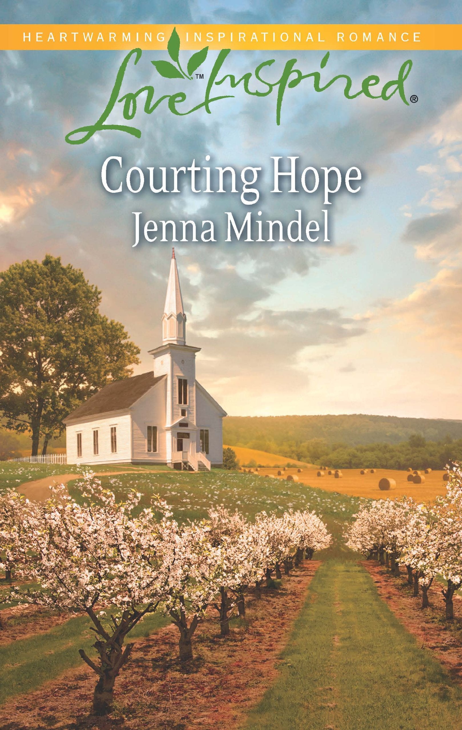 Courting Hope (Love Inspired),Used