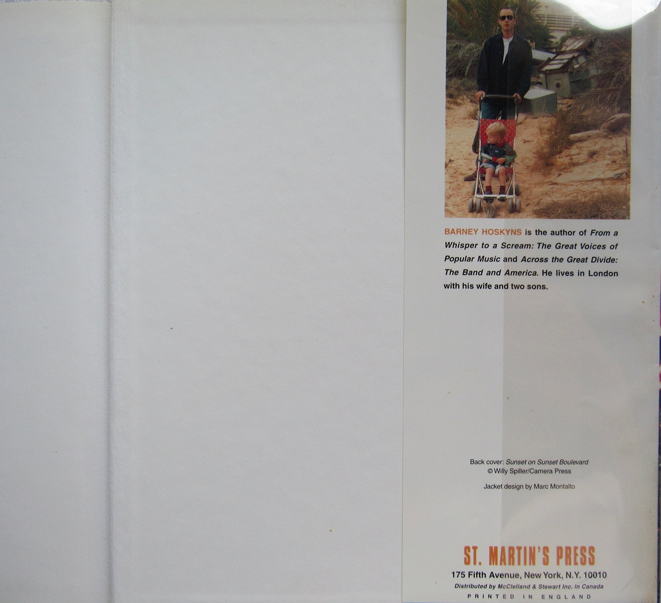 Metodologia Juridica (Spanish Edition),Used