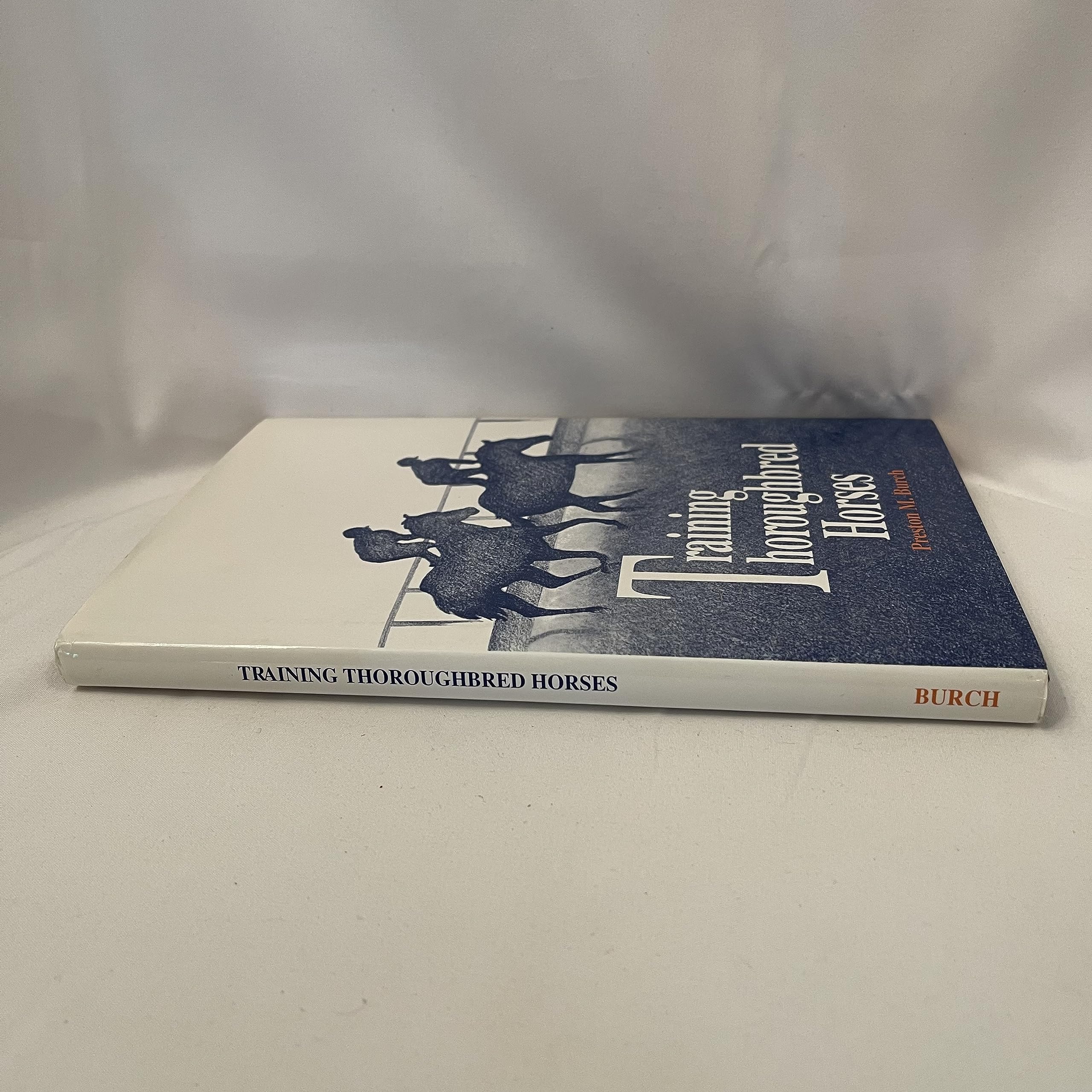 Lillian Toos Basic Feng Shui: An Illustrated Reference Manual-new