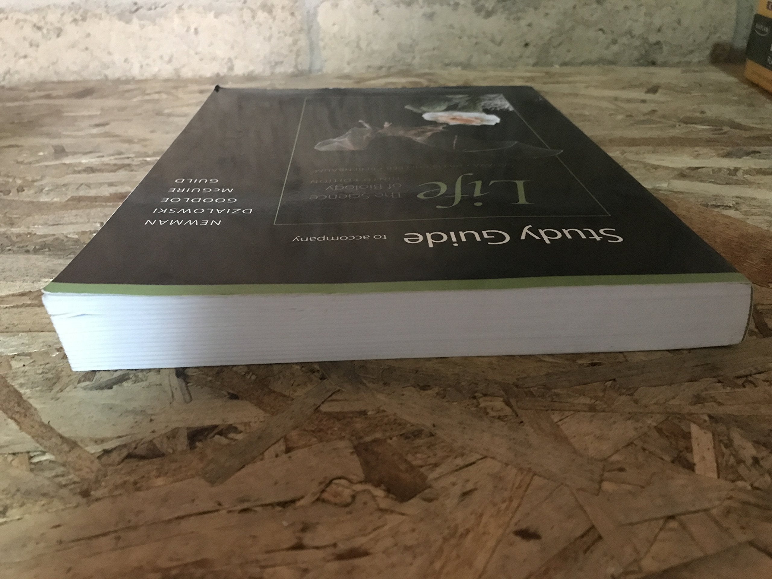 Study Guide to Accompany: Life, the Science of Biology, 9th Edition,Used
