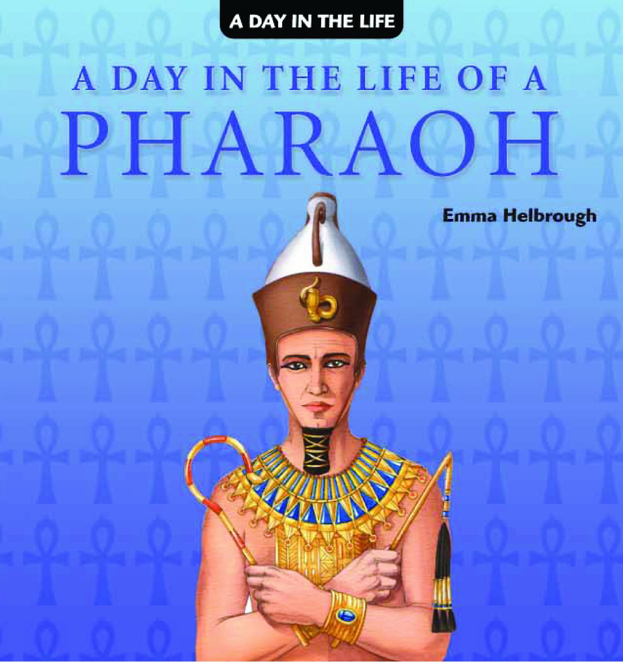 A Day in the Life of a Pharaoh,Used