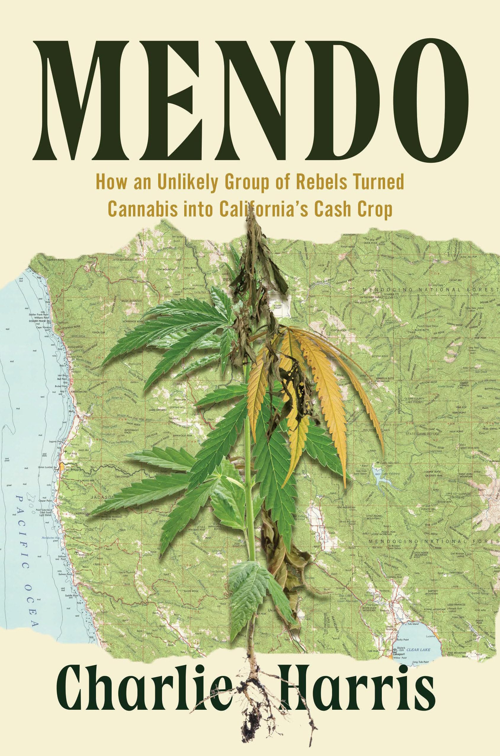 Mendo: How An Unlikely Group Of Rebels Turned Cannabis Into CaliforniaS Cash Crop
