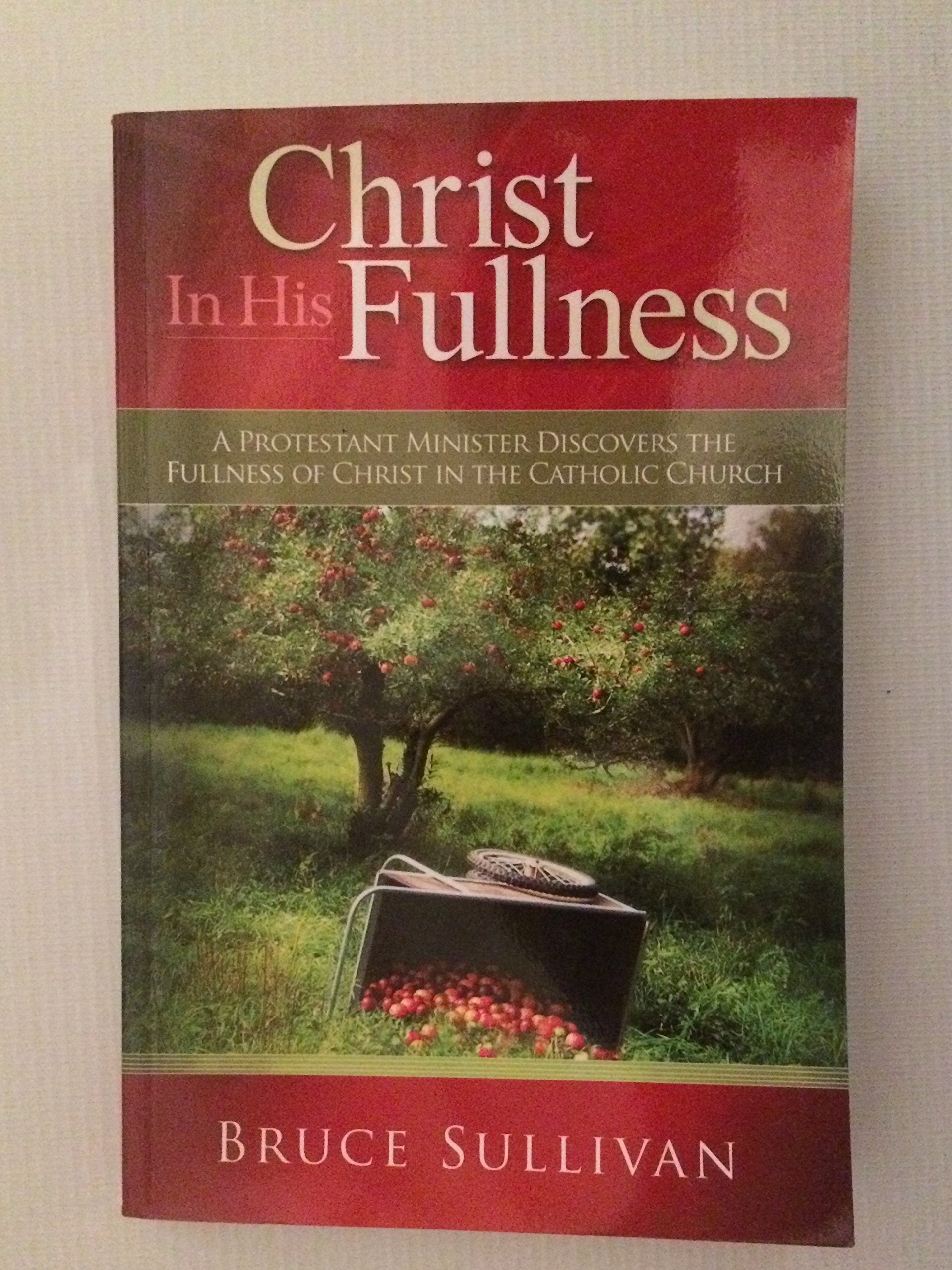 Christ in His Fullness,Used