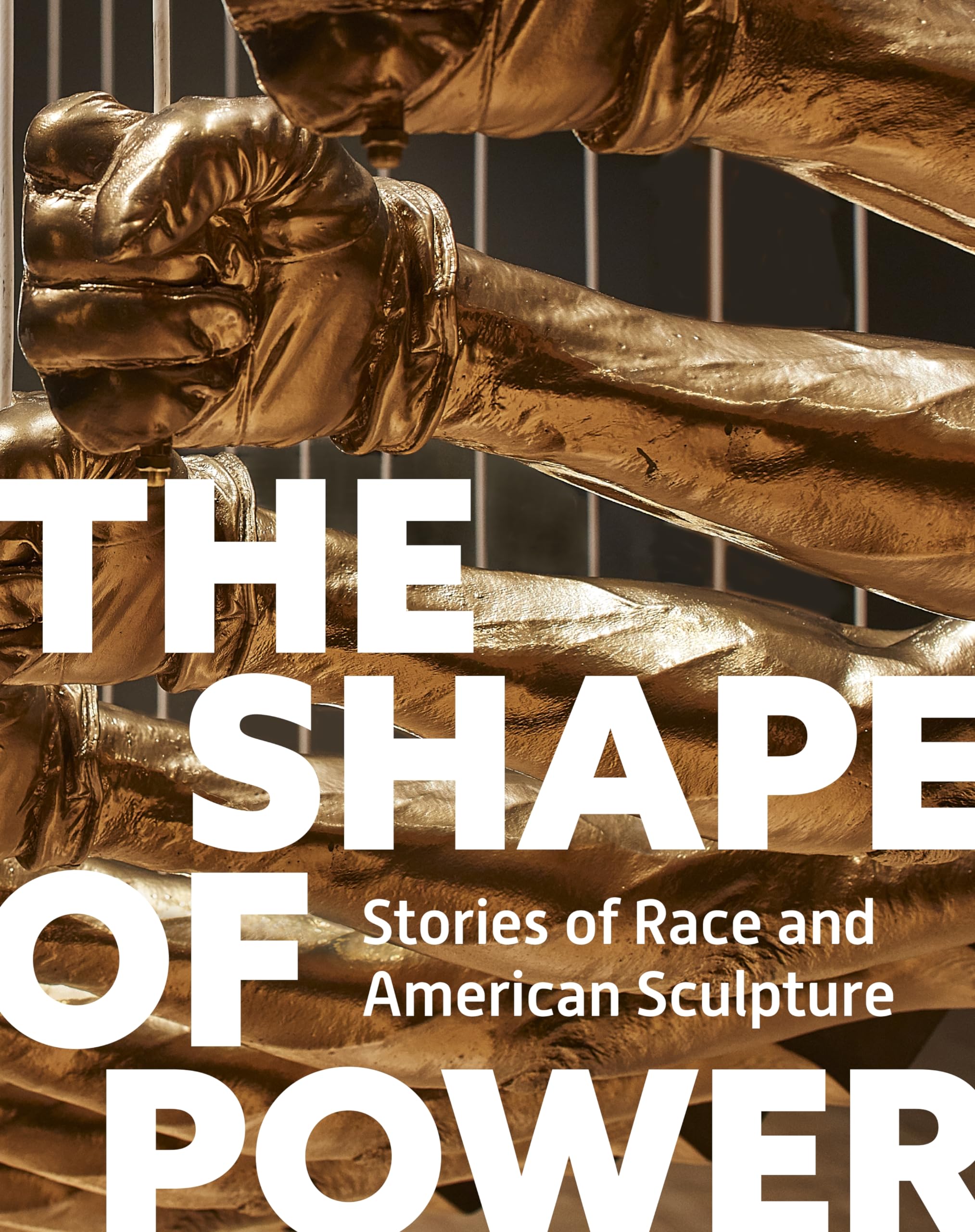 The Shape Of Power: Stories Of Race And American Sculpture