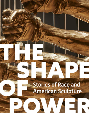 The Shape Of Power: Stories Of Race And American Sculpture
