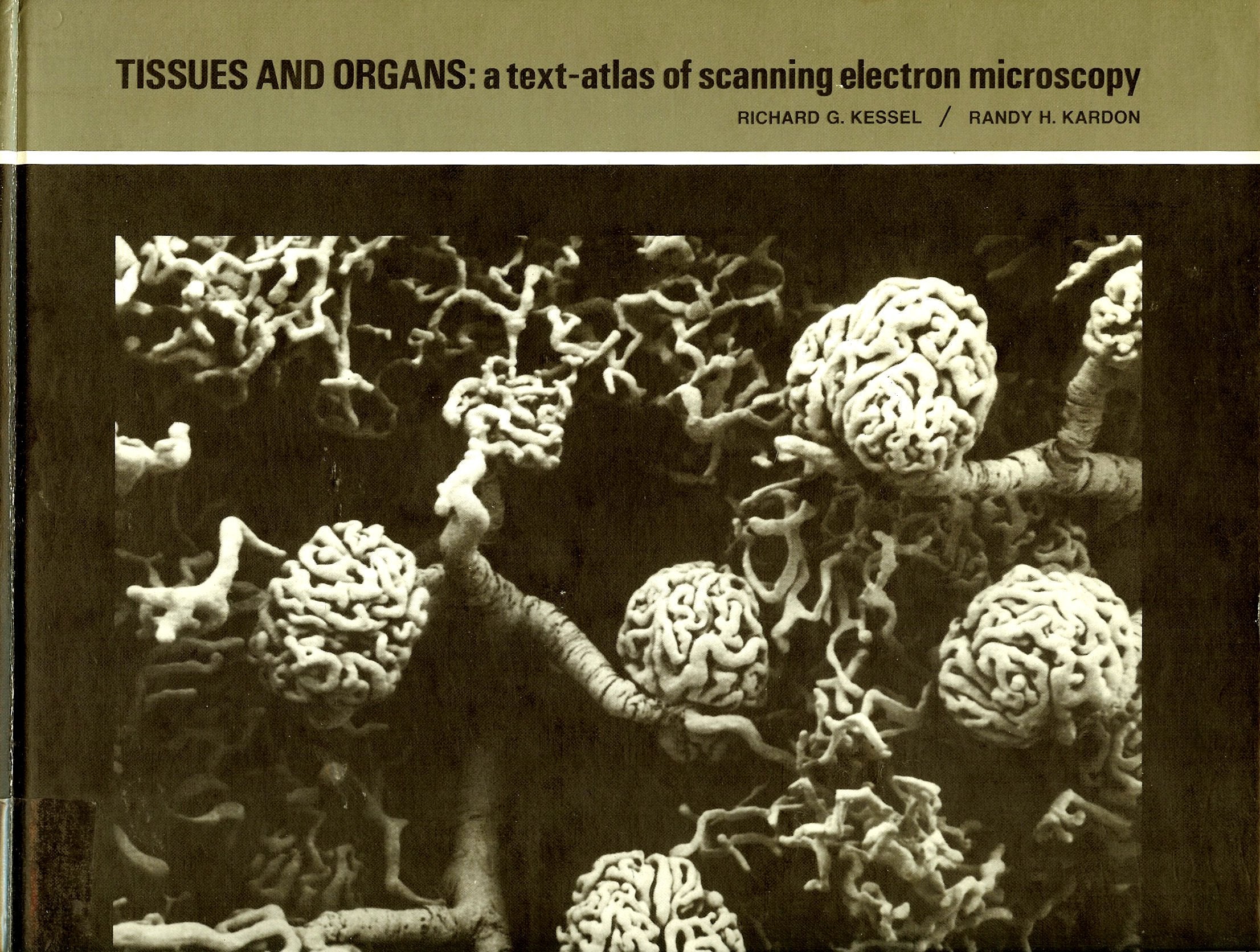 Tissues and organs: A textatlas of scanning electron microscopy,Used