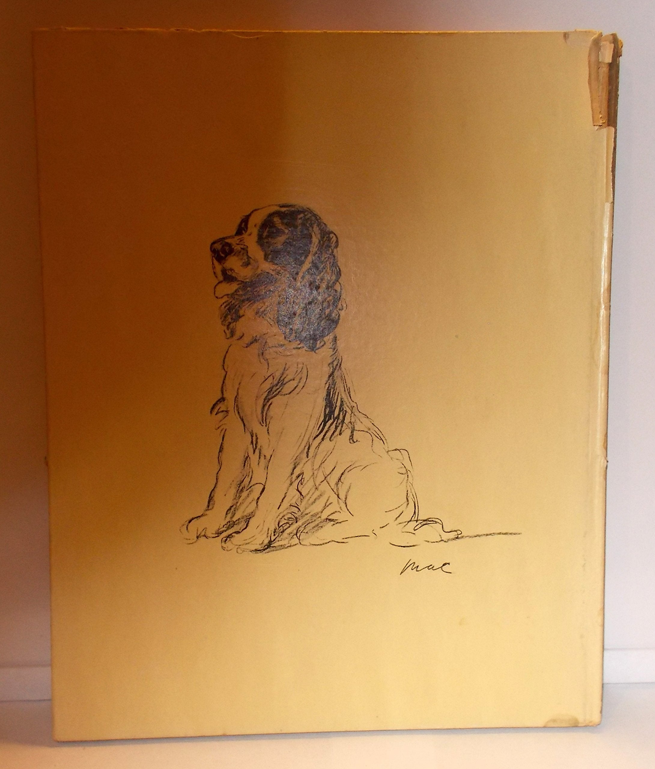 Dogs As I See Them,Used