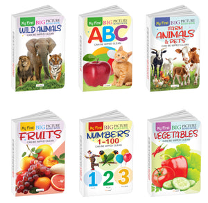 My First Big Picture Board Book Abc, Numbers 1-100, Fruits, Vegetables And More : Picture Board Books For Kids, Educational Board Books For Children | Pack Of 6 Board Books