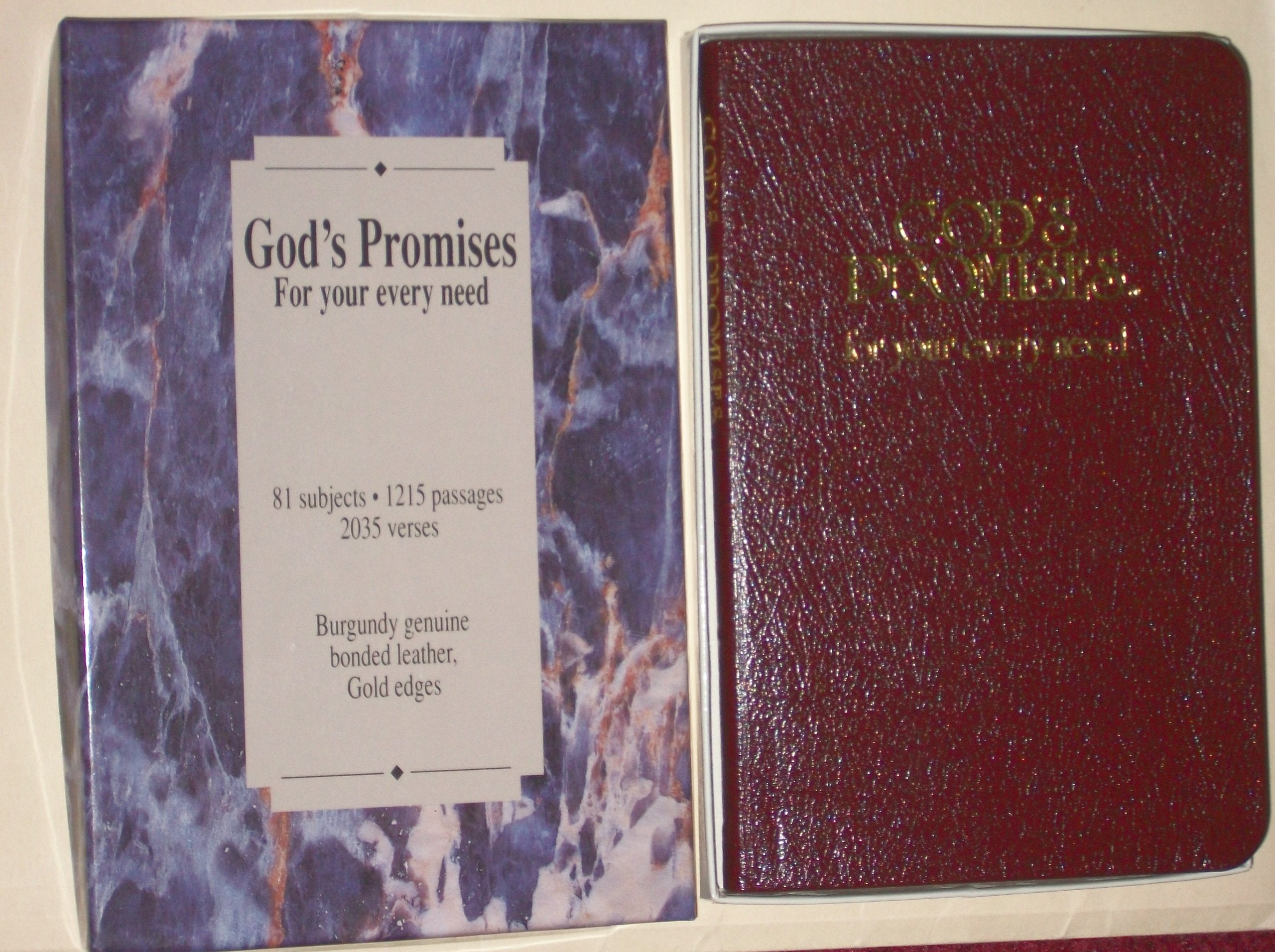 God's Promises for Your Every Need,New