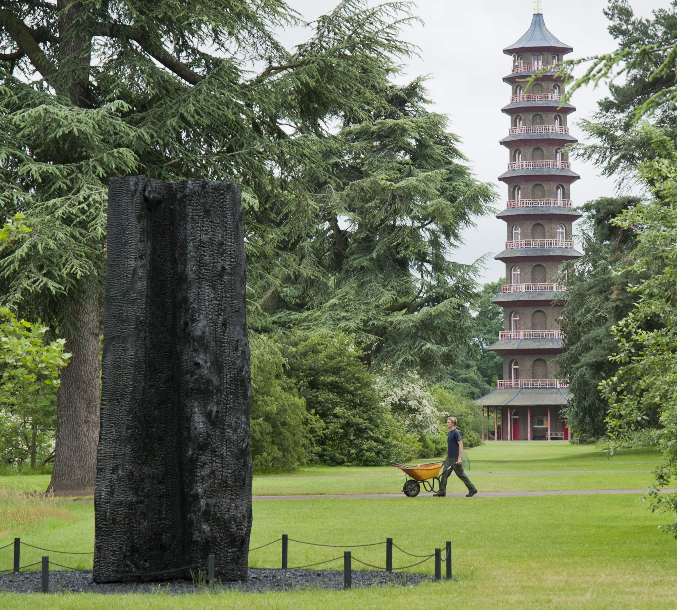 David Nash: A Natural Gallery,Used