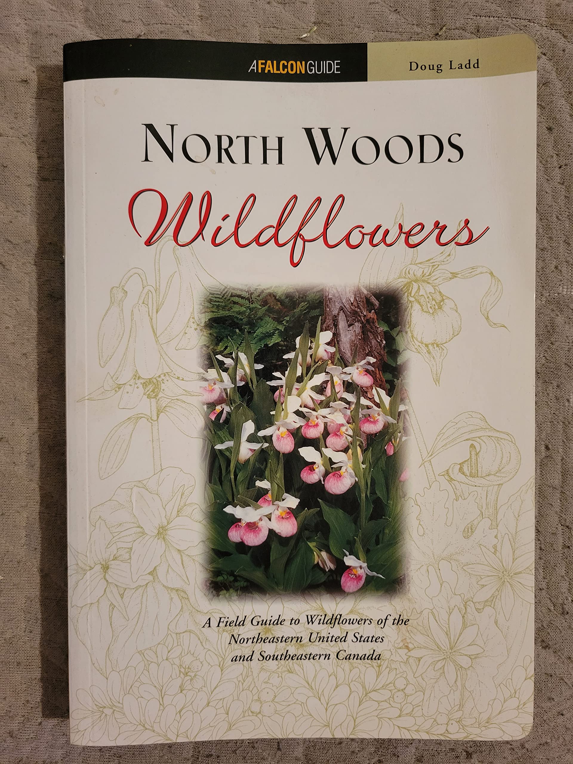 North Woods Wildflowers: A Field Guide to Wildflowers of the Northeastern United States and Southeastern Canada,New