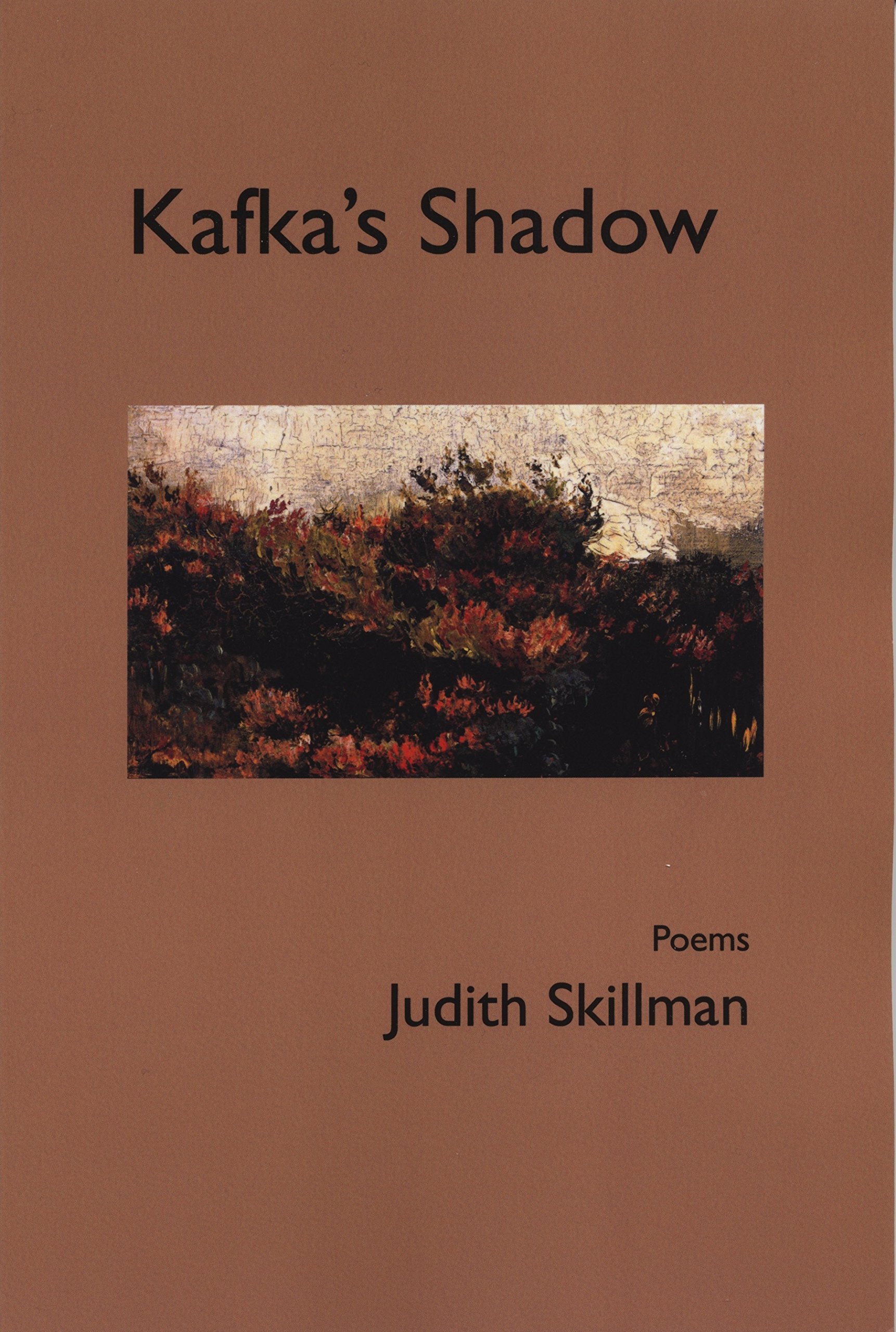 Kafkas Shadow