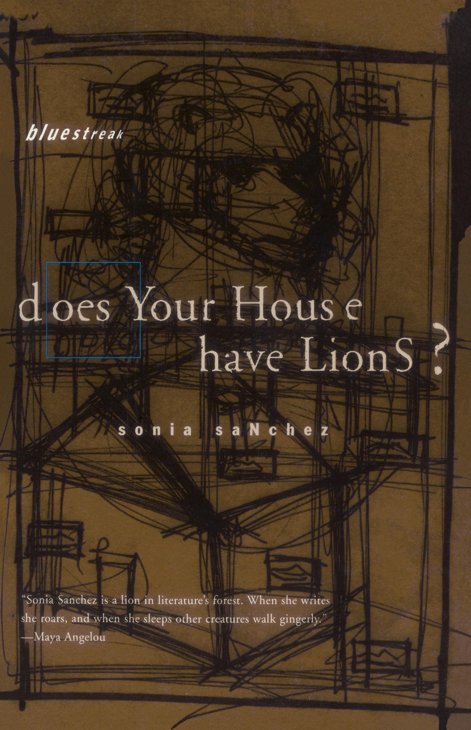 Does Your House Have Lions ?,Used
