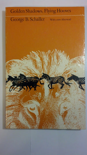 Golden shadows, flying hooves