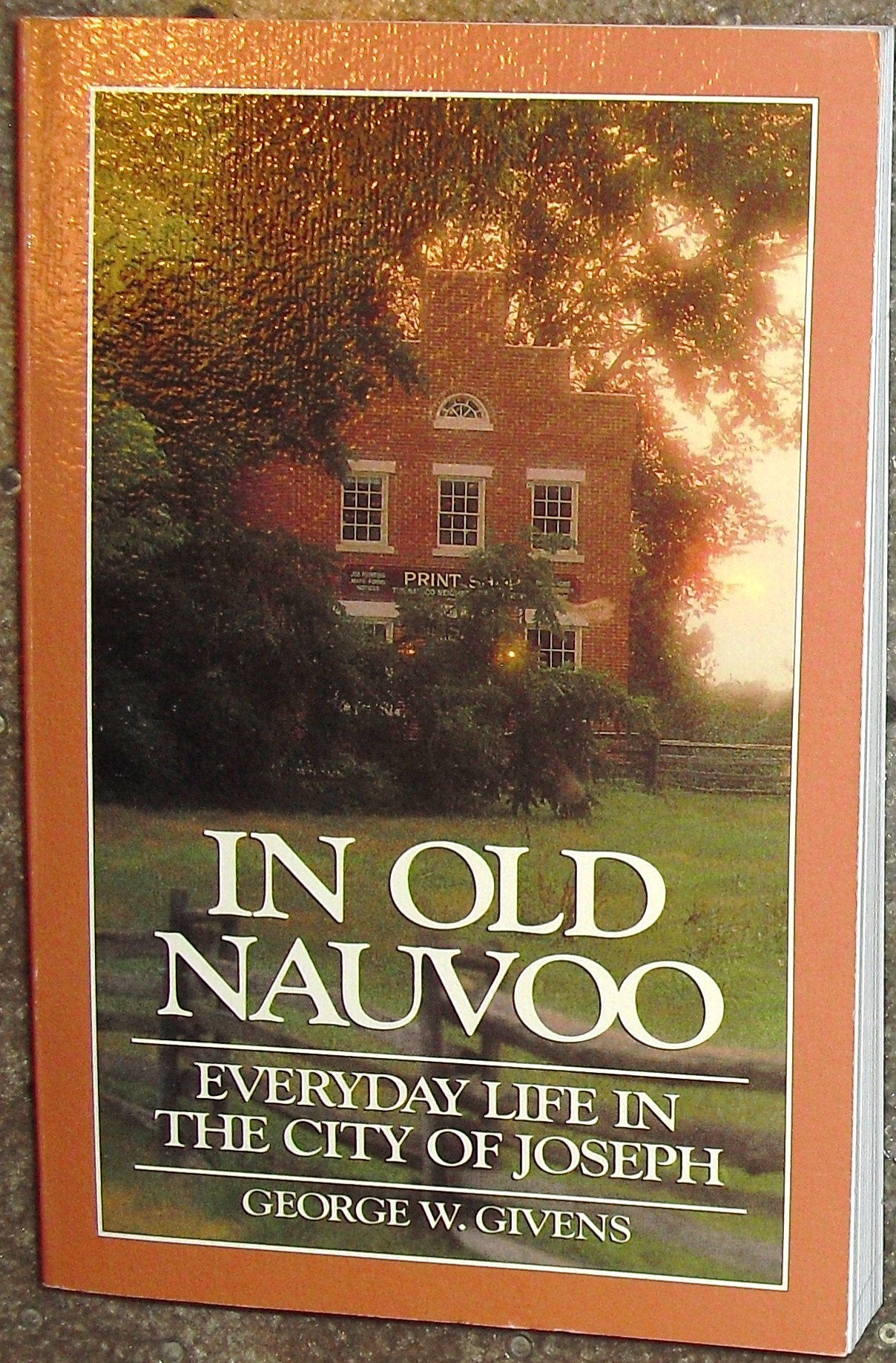 In Old Nauvoo: Everyday Life in the City of Joseph,Used
