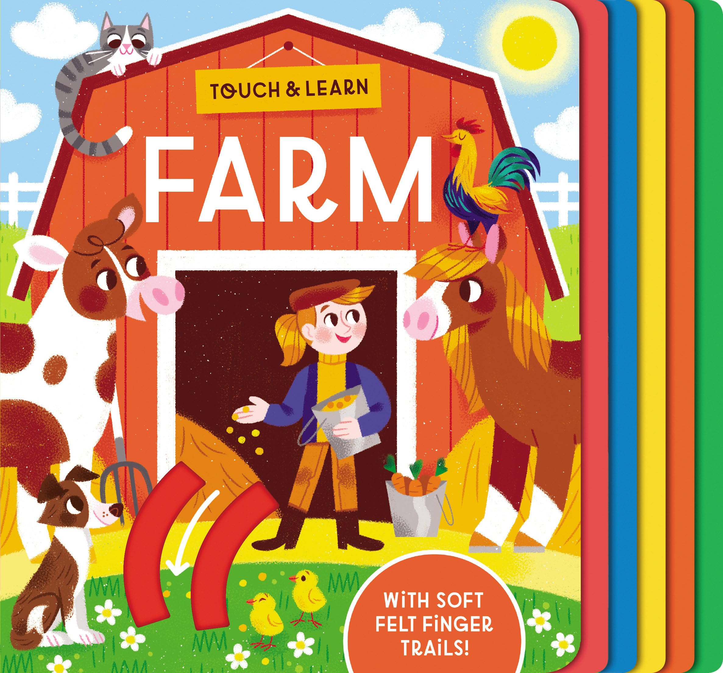 Touch & Learn: Farm: With colorful felt to touch and feel,Used