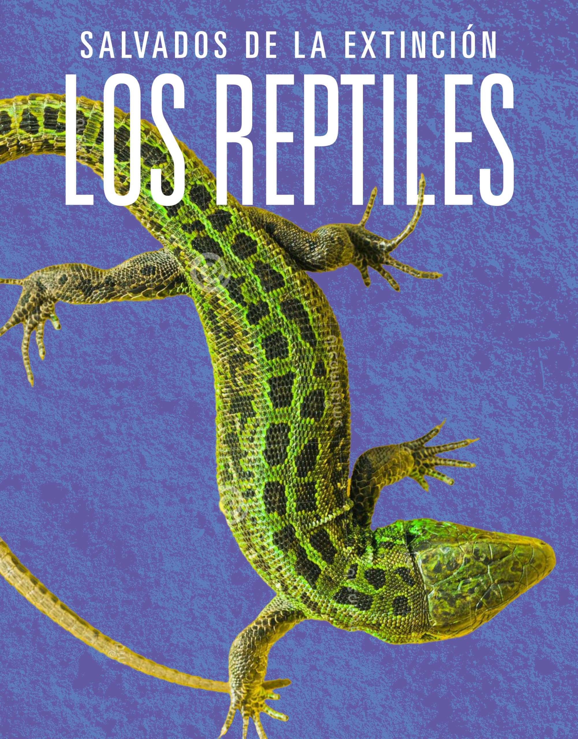Los Reptiles: Salvados De La Extincin (Spanish Edition)