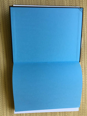 Now You See It: Simple Visualization Techniques for Quantitative Analysis,New