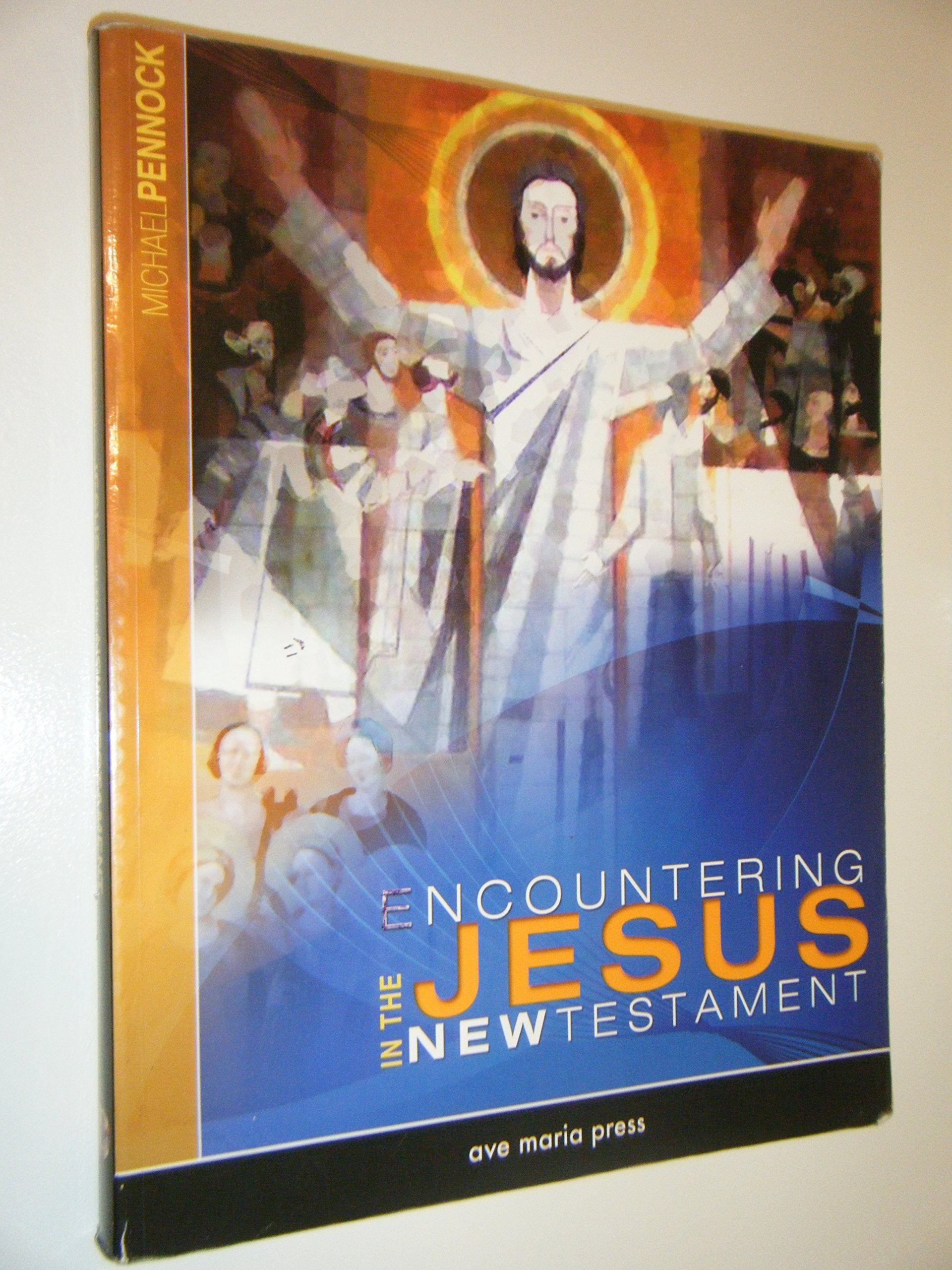 Encountering Jesus in the New Testament,Used