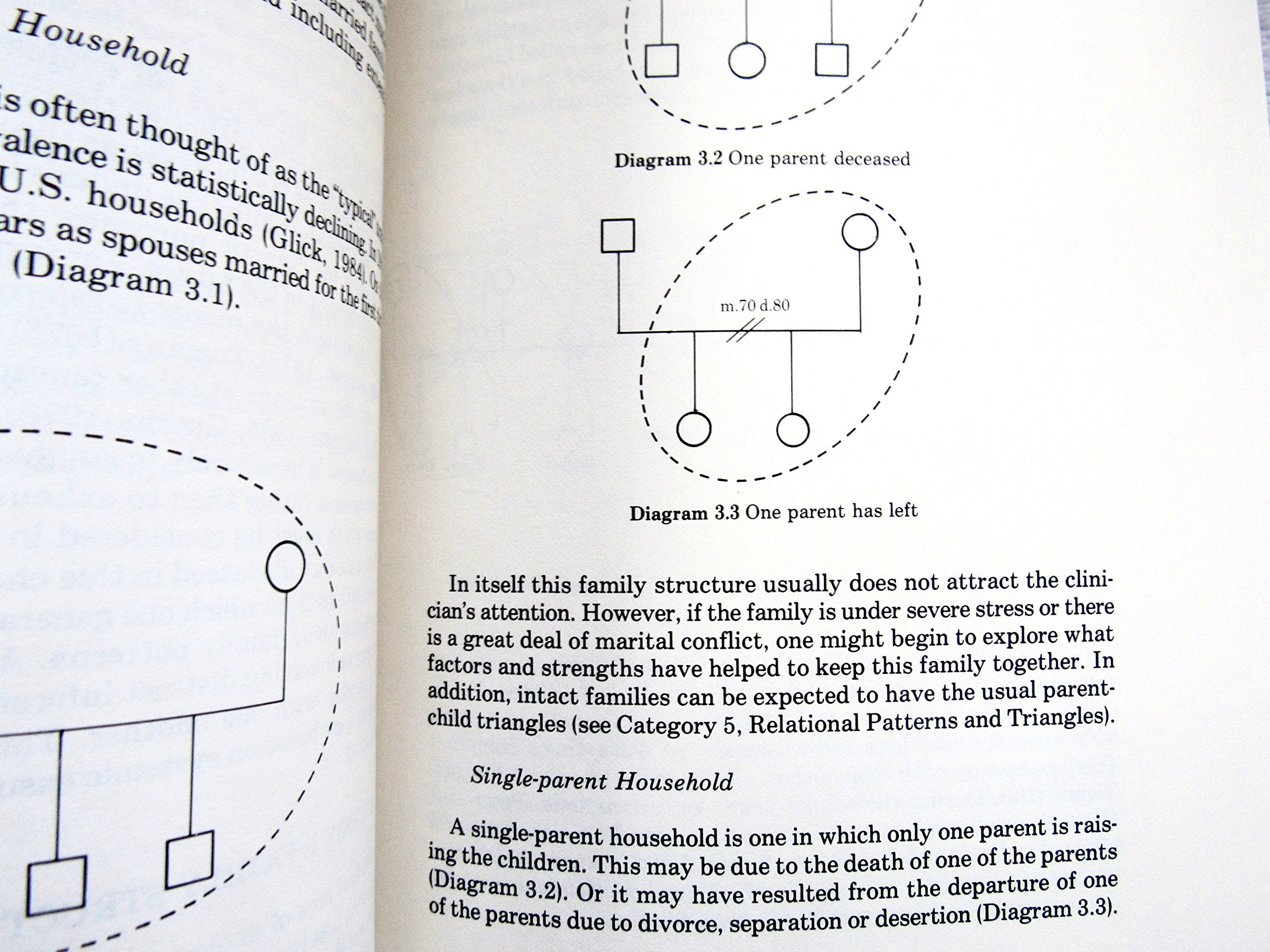 Genograms in Family Assessment,Used