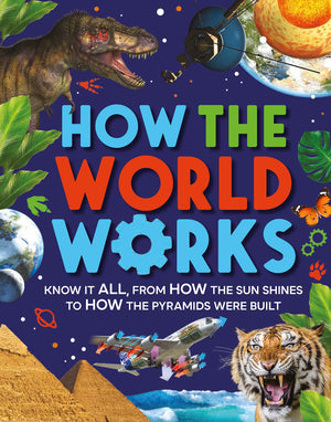 How The World Works: Know It All, From How The Sun Shines To How The Pyramids Were Built,Used