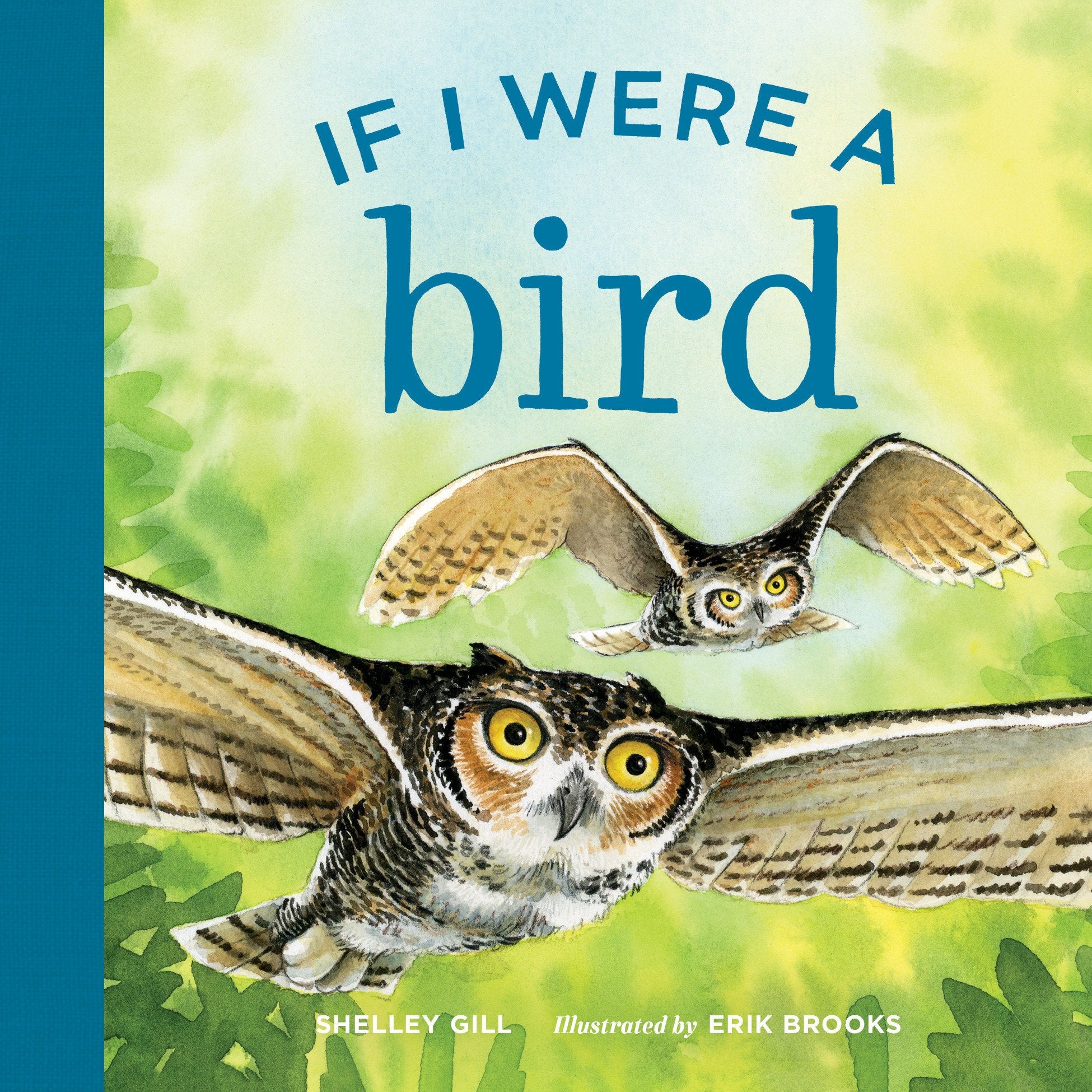 If I Were a Bird,Used