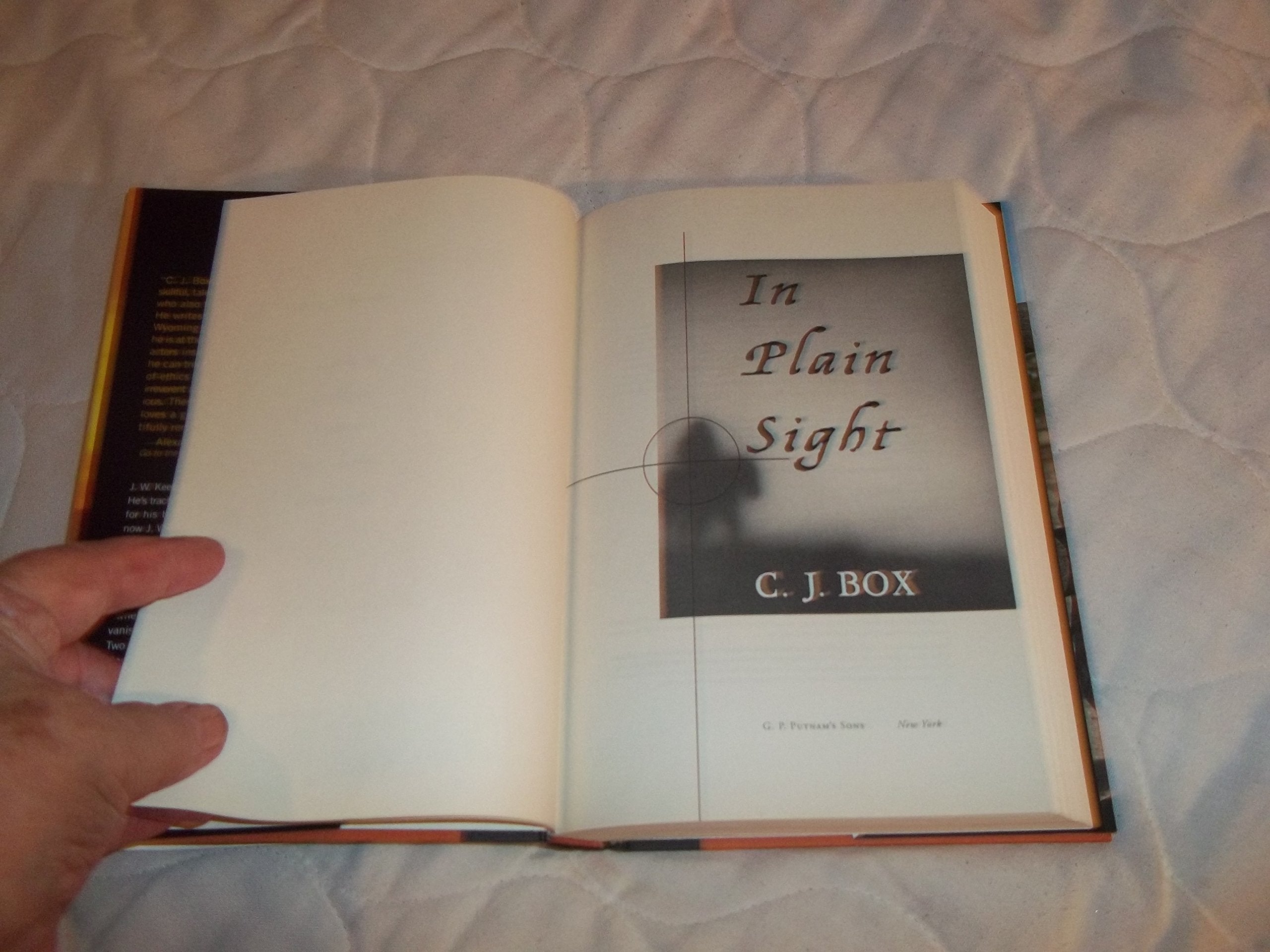 In Plain Sight (A Joe Pickett Novel)
