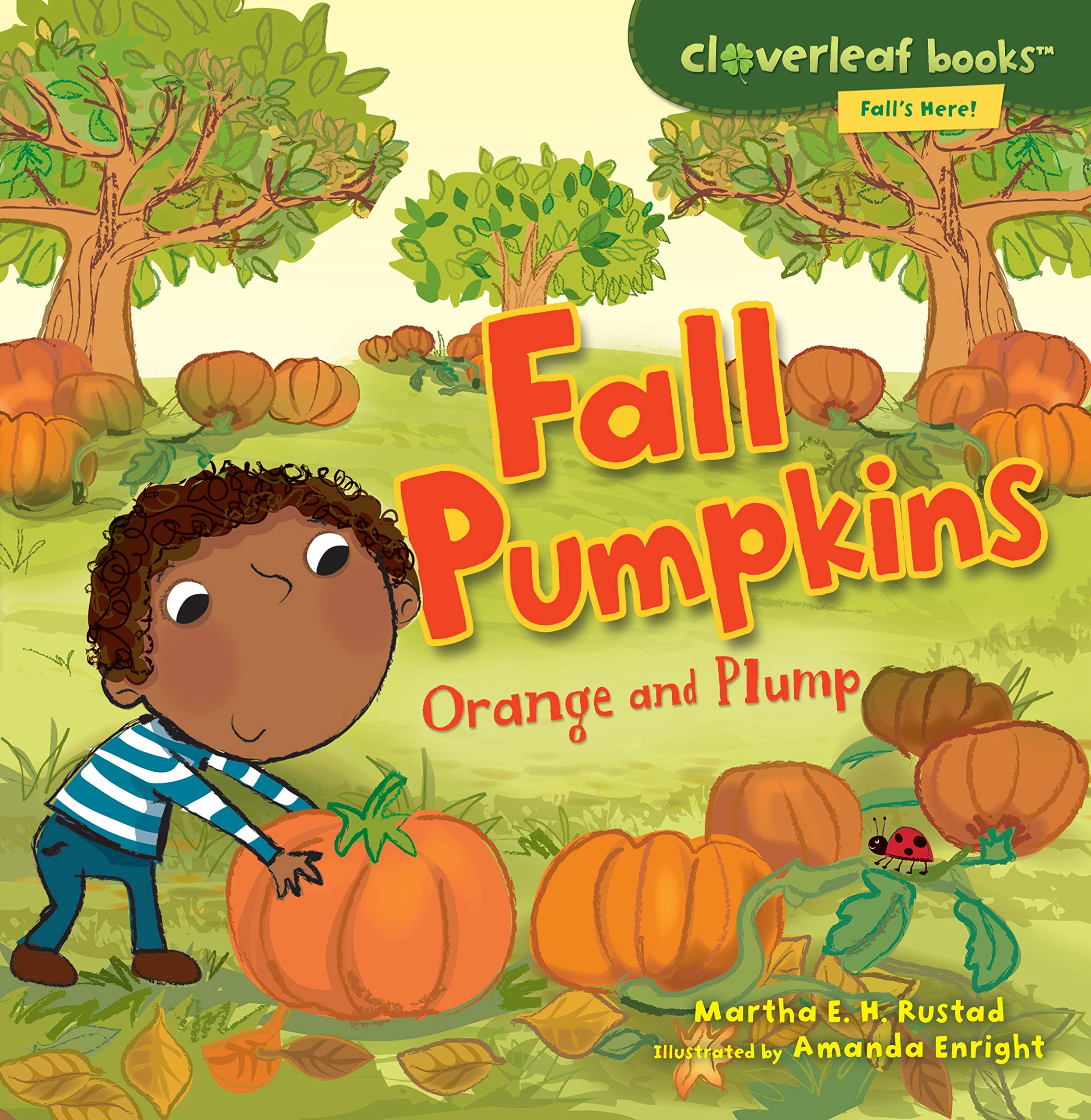Fall Pumpkins: Orange and Plump (Cloverleaf Books   Fall's Here!),New