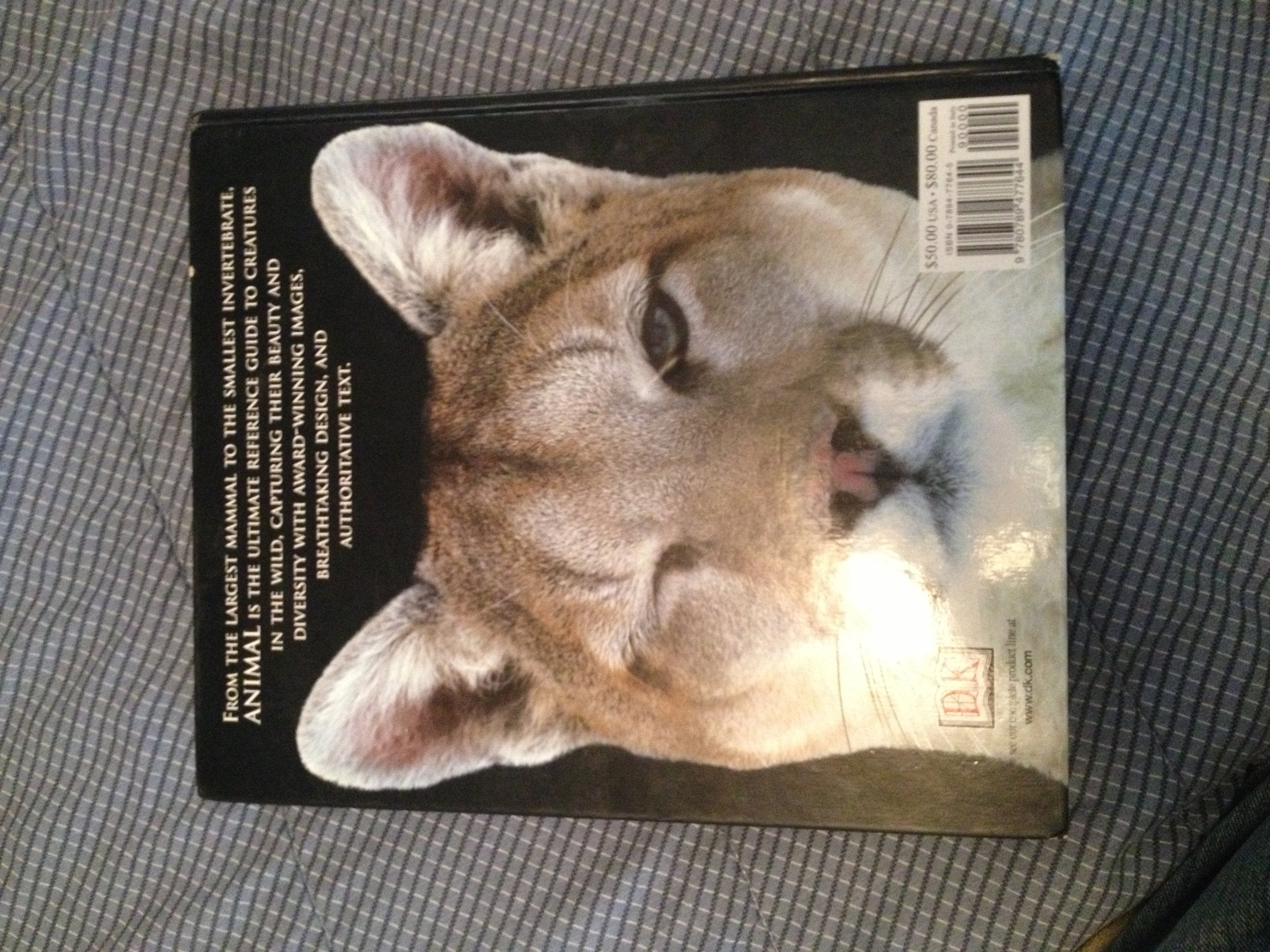 DK Animal: The Definitive Visual Guide to the World's Wildlife - Comprehensive Wildlife Reference Book