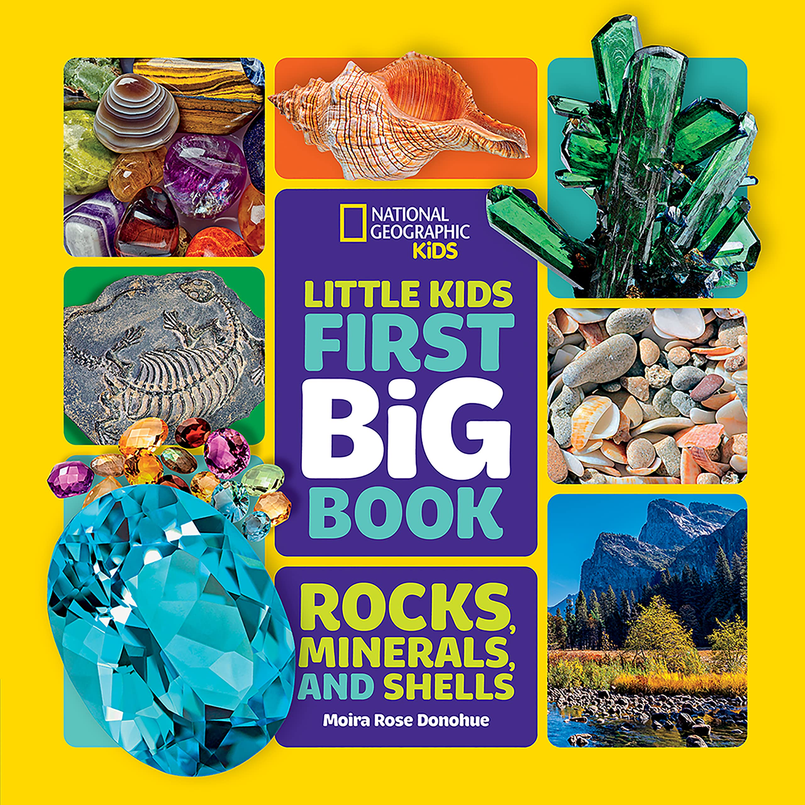 National Geographic Little Kids First Big Book Of Rocks, Minerals & Shells (National Geographic Little Kids First Big Books)