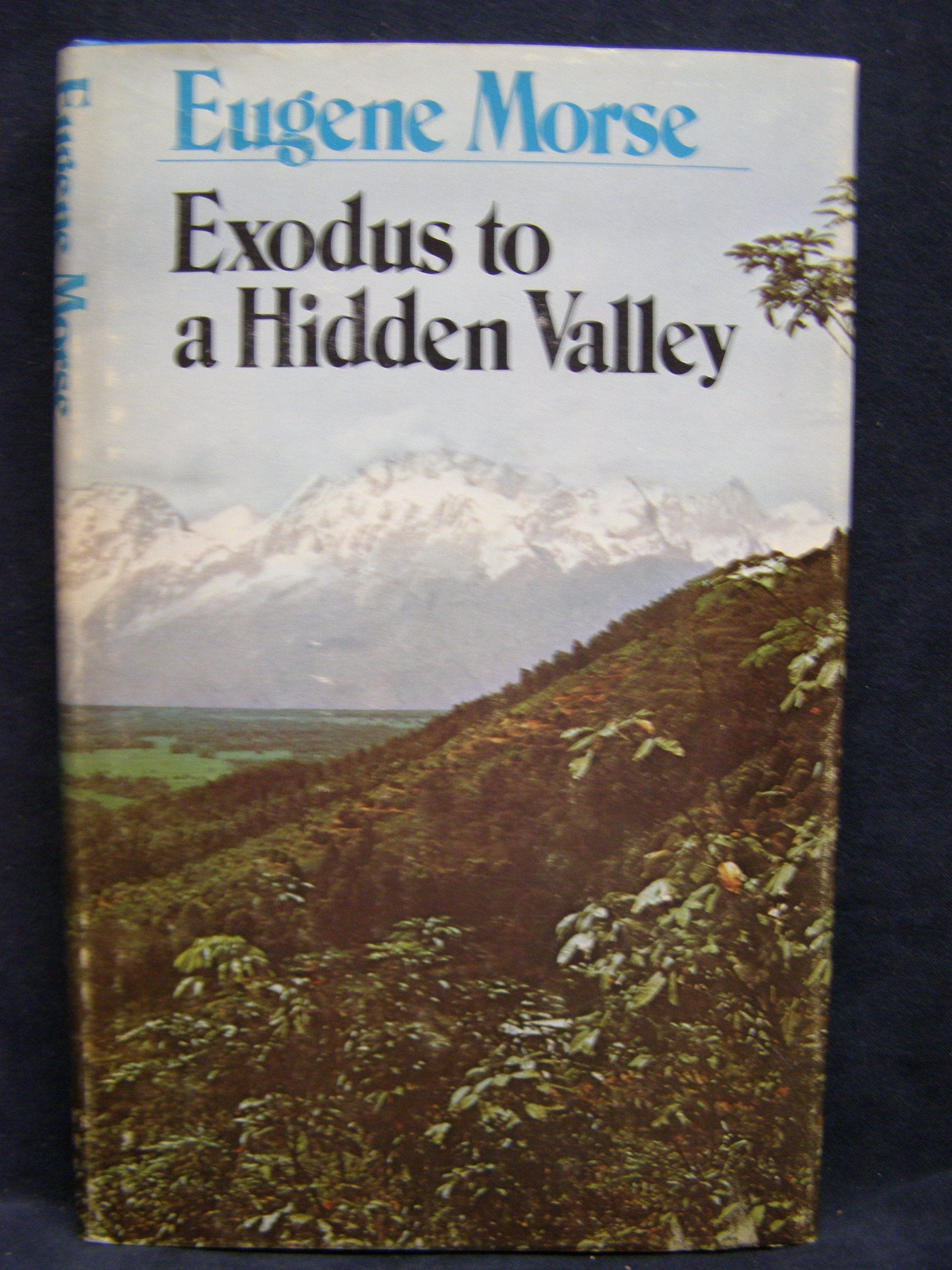Exodus to a Hidden Valley,Used