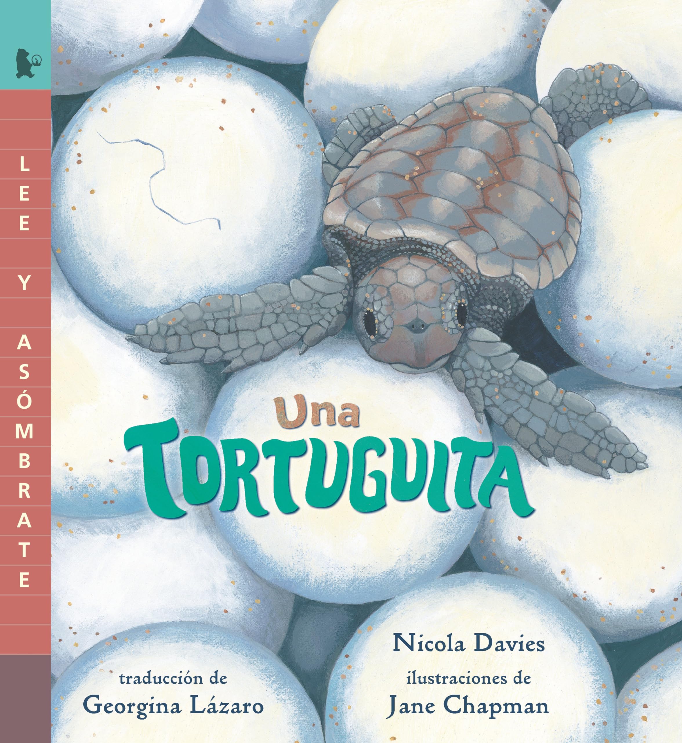 Una Tortuguita (Read And Wonder) (Spanish Edition),Used