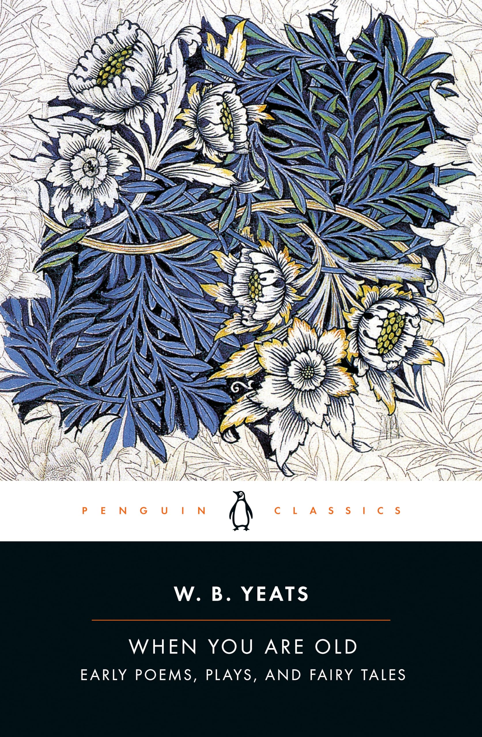 When You Are Old: Early Poems, Plays, and Fairy Tales (Penguin Drop Caps),Used