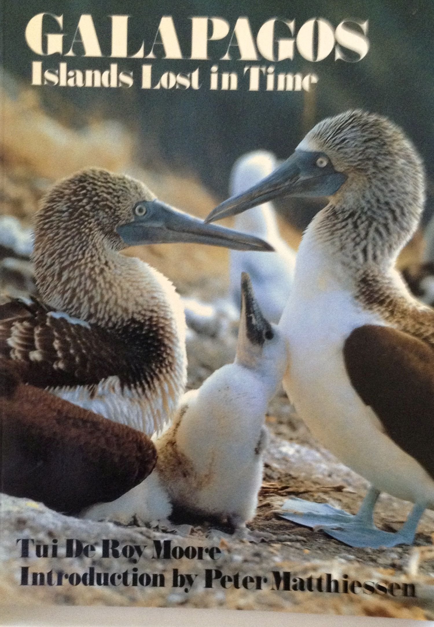 Galapagos : Islands Lost in Time,Used