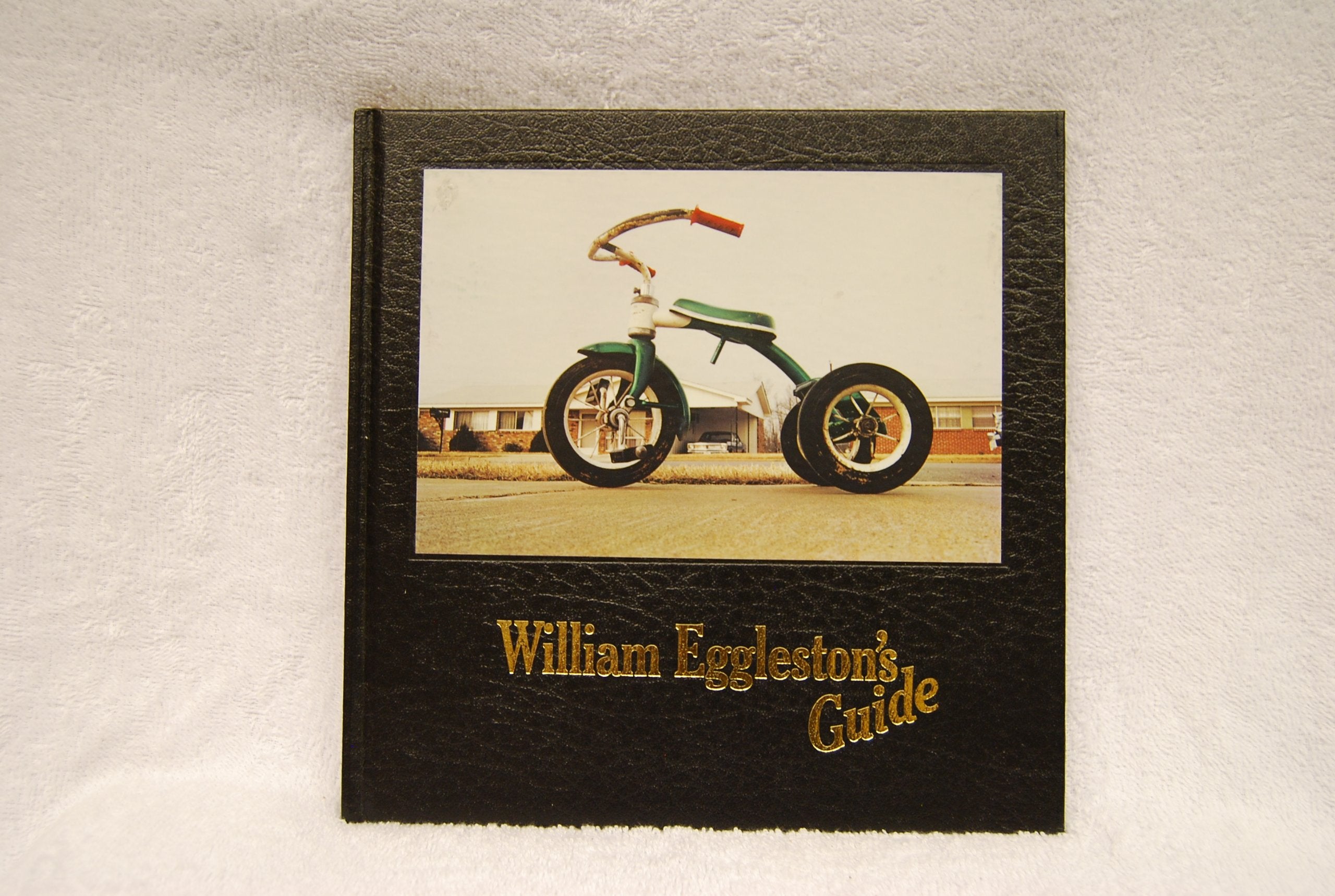 William Eggleston's Guide,Used