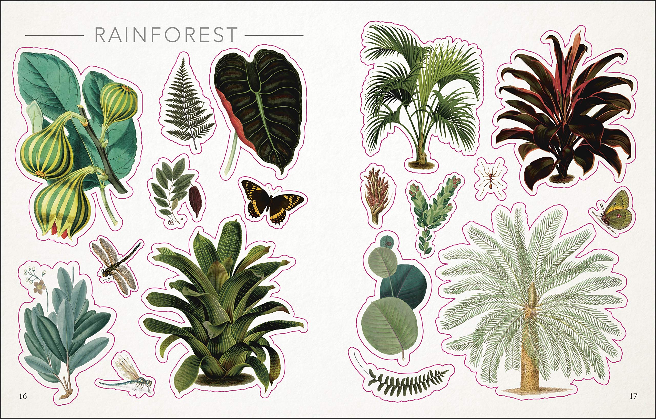 The Botanist'S Sticker Anthology (Dk Sticker Anthology),New