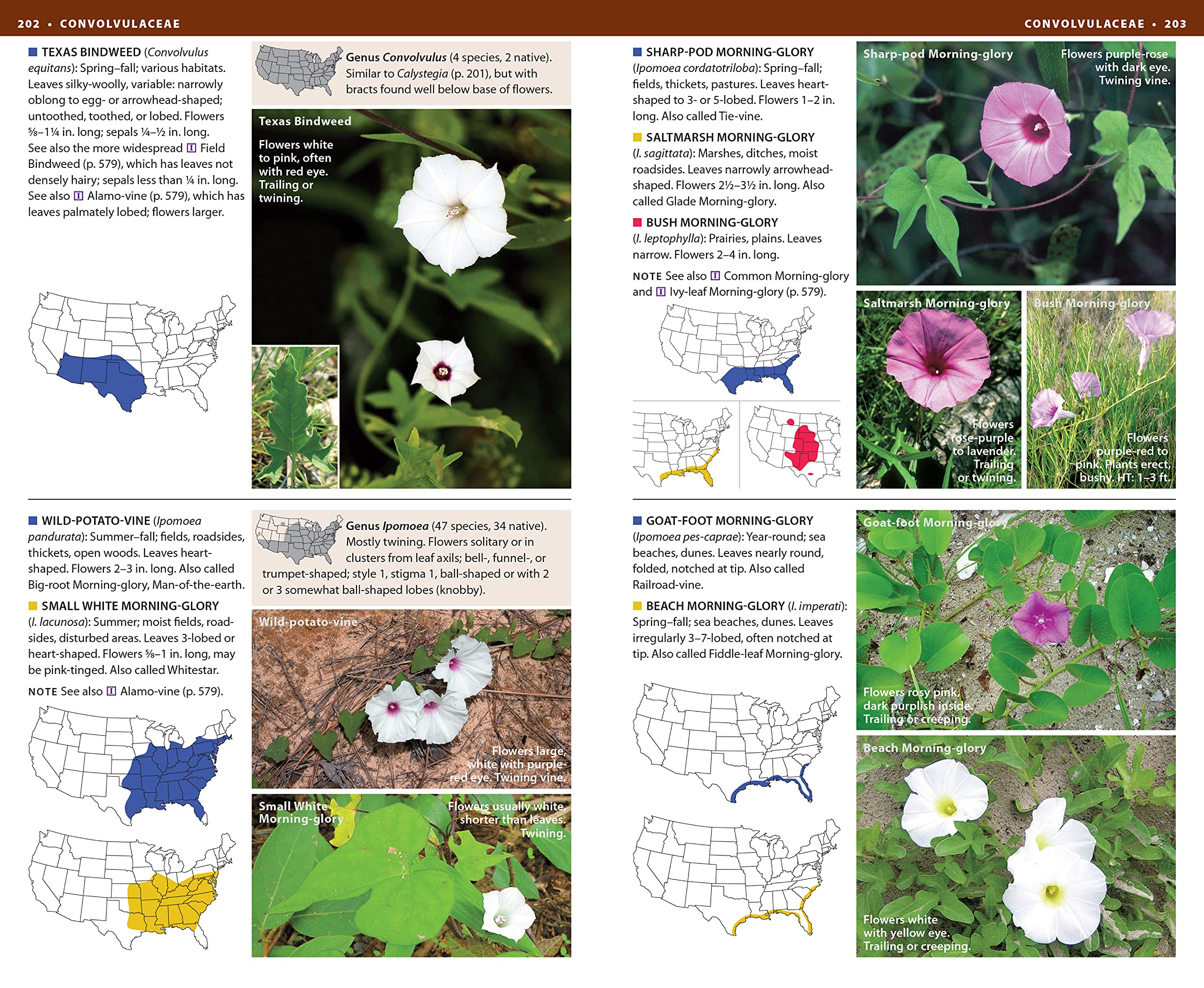 National Wildlife Federation Field Guide to Wildflowers of North America,Used