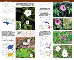National Wildlife Federation Field Guide to Wildflowers of North America,Used