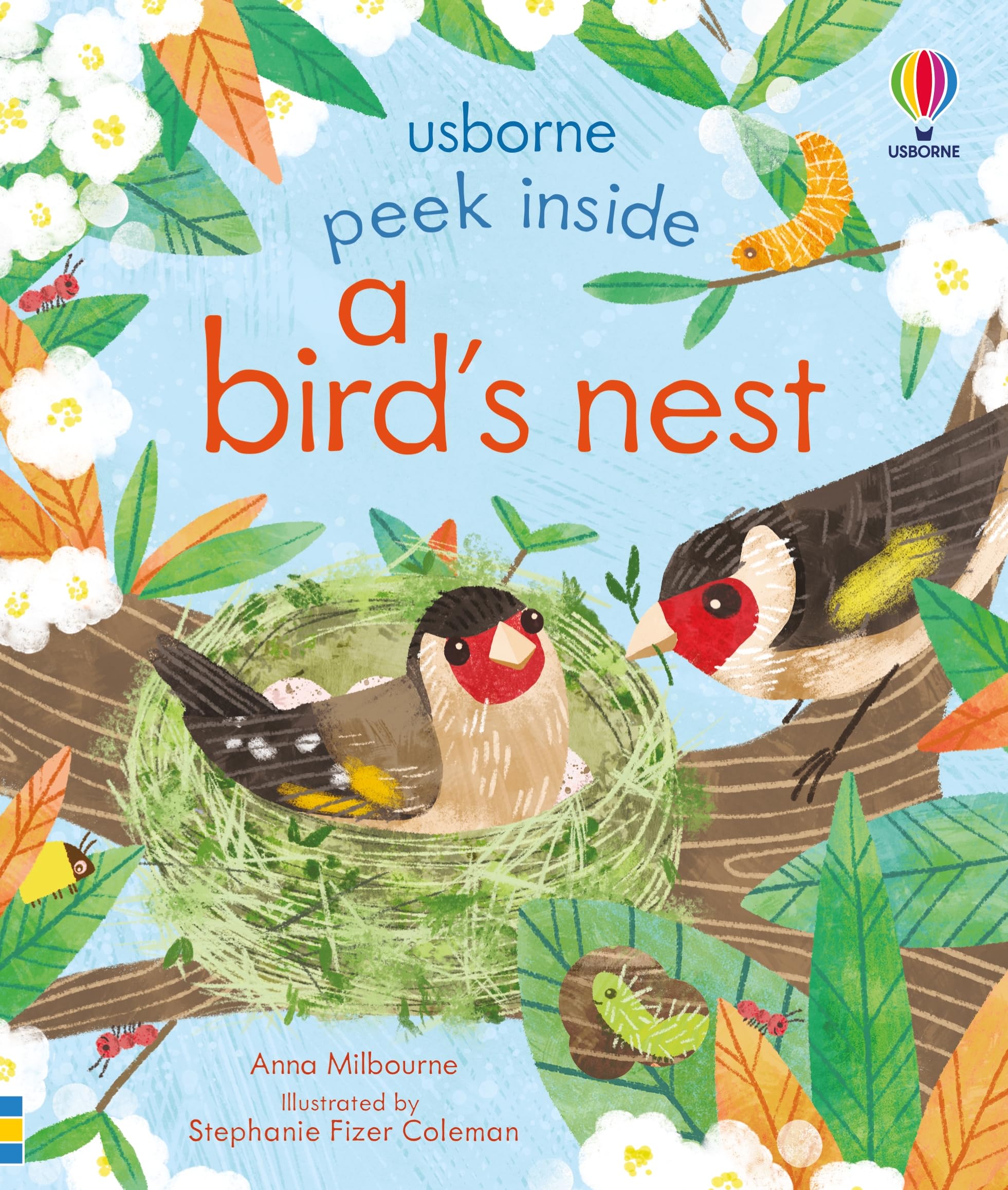Peek Inside A BirdS Nest: An Interactive LiftTheFlap Book With Hummingbirds, Flamingos, And Penguins  An Easter And Springt