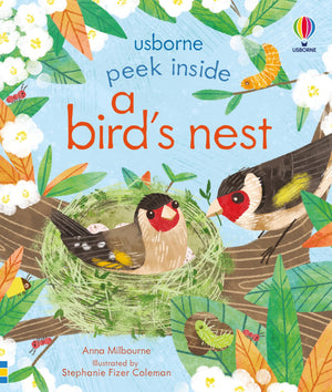 Peek Inside A BirdS Nest: An Interactive LiftTheFlap Book With Hummingbirds, Flamingos, And Penguins  An Easter And Springt